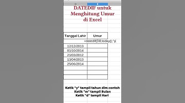 Cara Mudah Hitung Umur di Excel dengan DATEDIF #excel #exceltips #tutorialexcel  #education