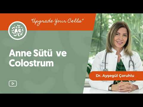 Video: Kolostrum Nedir