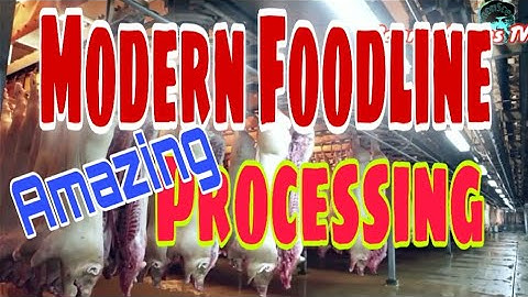 Fastest Modern Food Processing Line, Modern Processing Technology in Factory