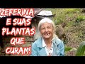 Zeferina e suas plantas medicinais🌿 93 anos sem nunca ter ido ao médico!