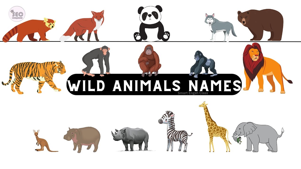 ? animals for kids ? | wild animals names | animal vocabulary with pictures | list of wild animals