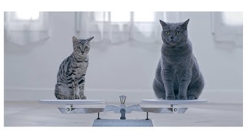 Acer | Swift 5 [Part 3]