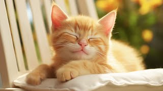 EXTREMELY Soothing Cat Therapy Music - Relax Your Cat! Cat Music - Music to Help Your Kitty Sleep