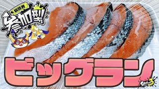 【視聴者参加型】ビッグラン！イクラ135個以上納品して金オキモノをゲットしたい…！！【splatoon3 スプラトゥーン3】