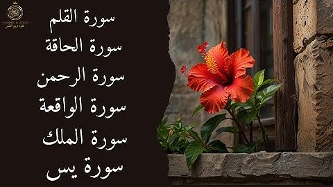 سورة الواقعة سورة الرحمن سورة يس سورة الملك سورة الحاقة سورة القلم 
