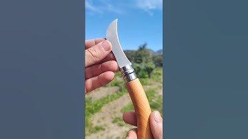 Opinel N.8 Mushroom version #opinel #knife @OPINELOFFICIAL #video