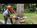 Stihl 500i and Poulan 655 dropping tree stems, Buckin’ firewood.