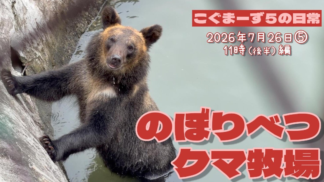 くまごろうページ YouTube