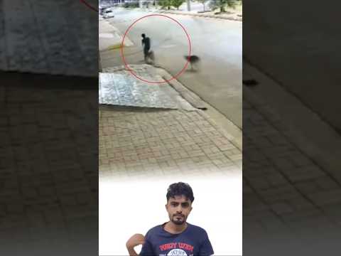 أحيانا تأتي الشدة مرة واحدة ويأتي اللطف قبلها بثانية اكسبلور لايك   