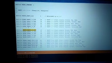 ERROR VIDEO MARLIN P1