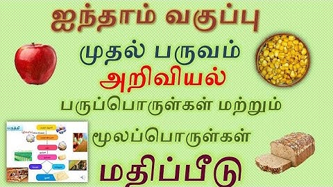 5th Standard  -Term 1- Science  - Lesson 2 - பருப்பொருள்கள் மற்றும் மூலப்பொருள்கள்  - மதிப்பீடு