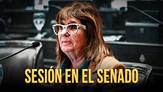 VOTA EL SENADO, LO QUE DEJÓ LA MARCHA Y EL DEBATE POR EL FEMINISMO