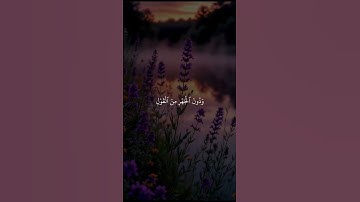 قران كريم راحة نفسية #اكسبلور #المصحف #راحة #لايك #الرحمن #قران_كريم #vairal