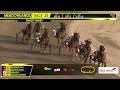 August 8, 2026 - Shady Daisy - Race 15