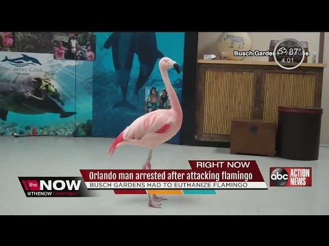 Orlando man arrested