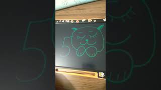 500Den Kolay Kedi Yapımı