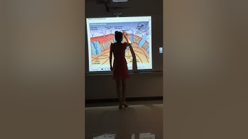 Chapter 3: The Cell (Part 1.1)