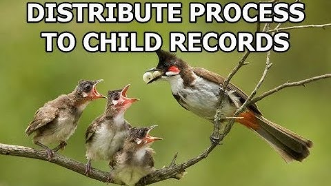 Dynamics 365 2MT Episode 101: DISTRIBUTE FLOW TO CHILD RECORDS