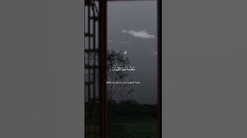 احمد حمادي - سورة ص🤍