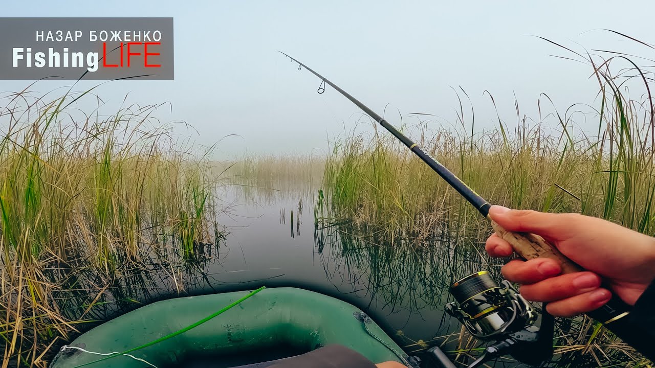 Осінній ЖОР Щуки На Торфовиську - Рибалка З Човника