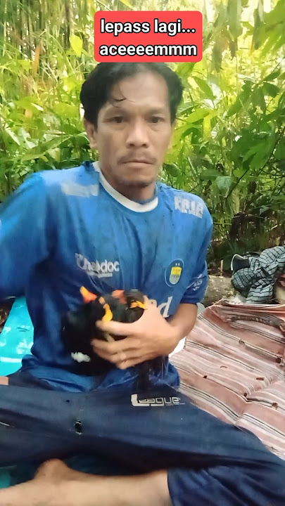 #sulingsakti #burung #burungkicaudialamliar #pikatbeo #birds