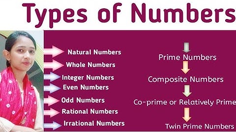 Number System | Natural Numbers/Whole Numbers/Integers/Composite numbers/Prime Numbers/Odd/Even numb