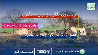 #غونډې وي ملګري ؤ اوس نه ښکاري #اواز_مولوي_نصرت_الله_نصرت #مسلم_غږ_muslim_voice #افغانستان #پشتو