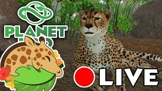 Crashy Birth of SEXTUPLET Cheetah Kits?! ? The Great Esc(ape) Special • Daily Planet Zoo • Day 20
