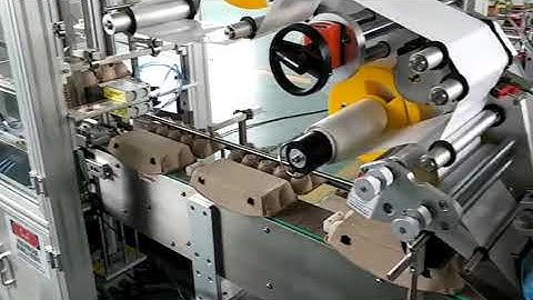 automatic egg box egg tray labeling machine-SKILT Machinery
