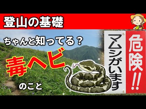 毒ヘビ（マムシ、ヤマカガシ、ハブ）、ニシキヘビ、ガラガラヘビなど、対処方法や血清などの話[Webセミナー][#96]