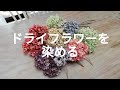 紫陽花のドライフラワーをピンクに色付けしてみたよ