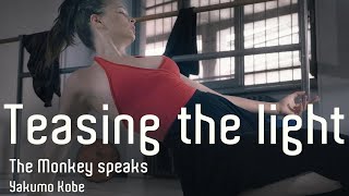 Teasing the light - The Monkey speaks (2020) - Yakumo Kobe