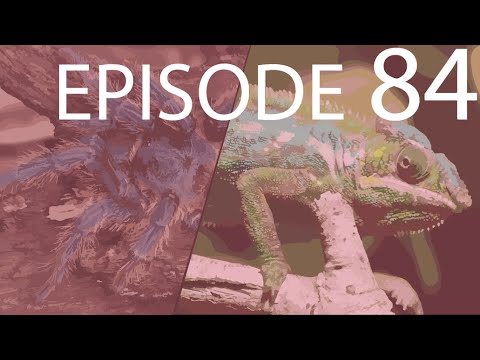 Episode 84 - Protostomes & Deuterostomes