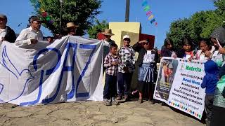 Entrevista colectiva a autoridades y representantes de Pinabetal en el XII Aniversario del Modevite.