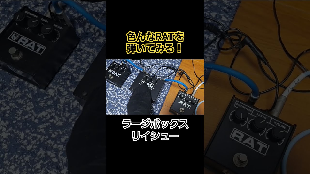 定番ディストーション！Proco Ratの色んな年代のものを弾いて