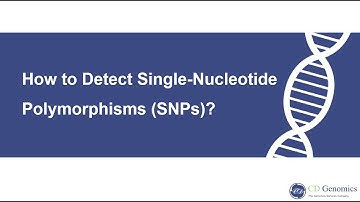 What is single-nucleotide polymorphism and how to detect it?