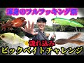 雨後➕流れ込み➕ビックベイト🟰パラダイス【7連発‼️フルフッキング】