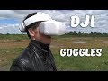 Тест FPV очков DJI goggles с Mavic Pro / Test DJI goggles with Mavic Pro (Sub)