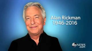 Famous Remembering Alan Rickman Wealth