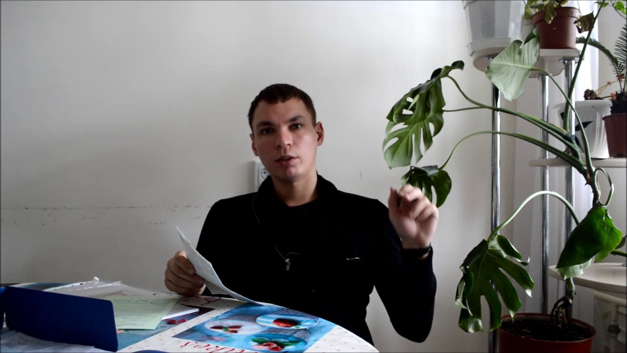 Пробить автомобиль по базе