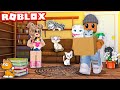 ROBLOX FIND THE CATS