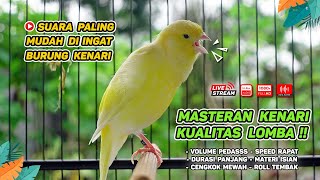 Kenari GACOR NGEREK‼️ Masteran Kenari PAUD dan Pancingan Kenari MACET BUNYI dan Betina NGIWIR - 104