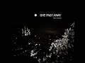 She Past Away - 2015 - Narin Yalnızlık LP