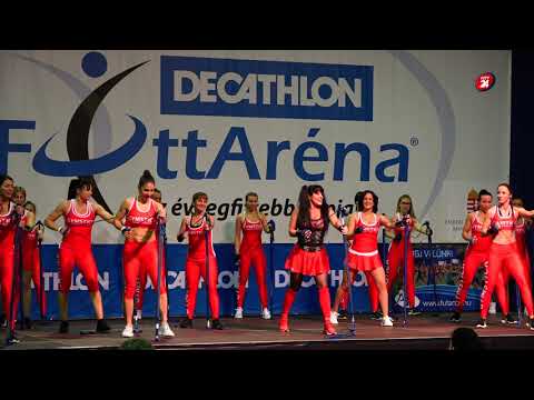 gymstick decathlon