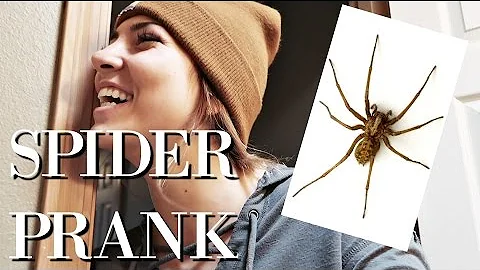 SPIDER PRANK ON MOM