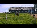 ДОМ В ДЕРЕВНЕ \ РЫБАЛКА \ ПОЛОВОДЬЕ