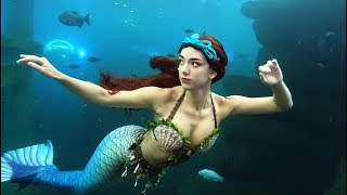 Real-Life Mermaid with Long Red Hair, Shipwreck Siren Finfolk Tail | Stella the Siren