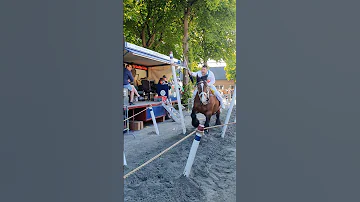 ?? Ringrijden Grijpskerke ????  Nederland @TravelwithHugoF  #ringrijden #horses #grijpskerke