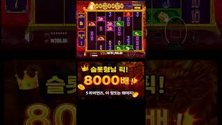 🔥 8000배! 5 라이언즈, 이 정도는 돼야 &#39;슬롯형님&#39; 픽! 💥