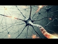 Массовая МАНИПУЛЯЦИЯ сознанием    зеркальные нейроны